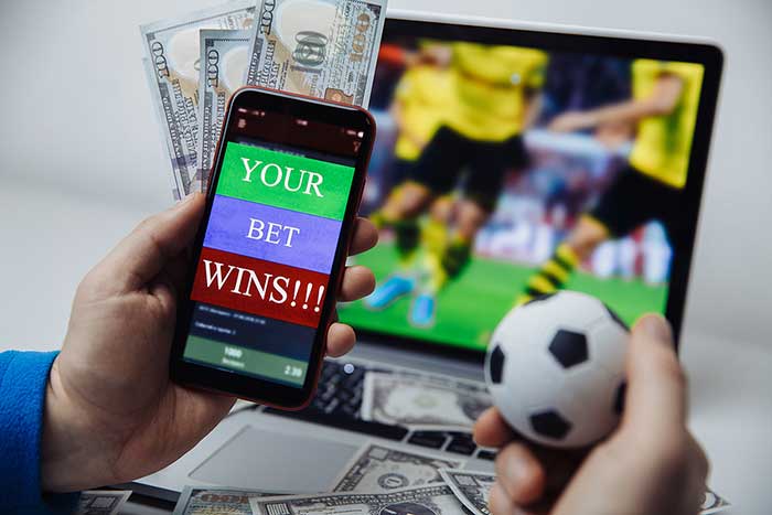 Beginner's Guide To Sports Betting Sites: Consider These Points Before Choosing One